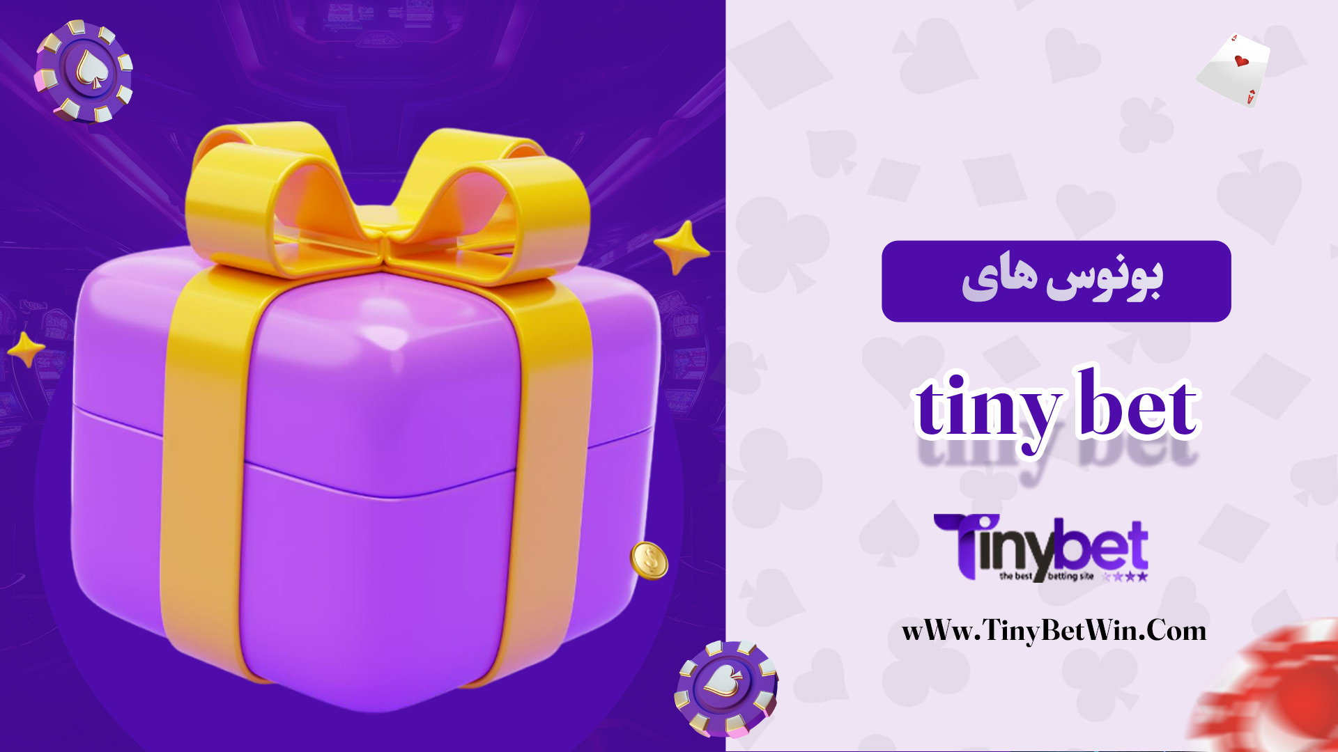 بونوس-های-tiny-bet