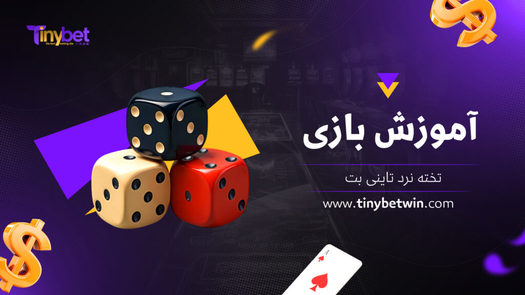 آموزش بازی تخته نرد تاینی بت
