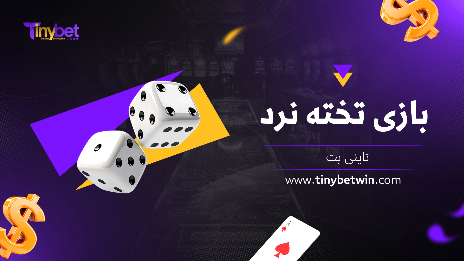 بازی تخته نرد تاینی بت