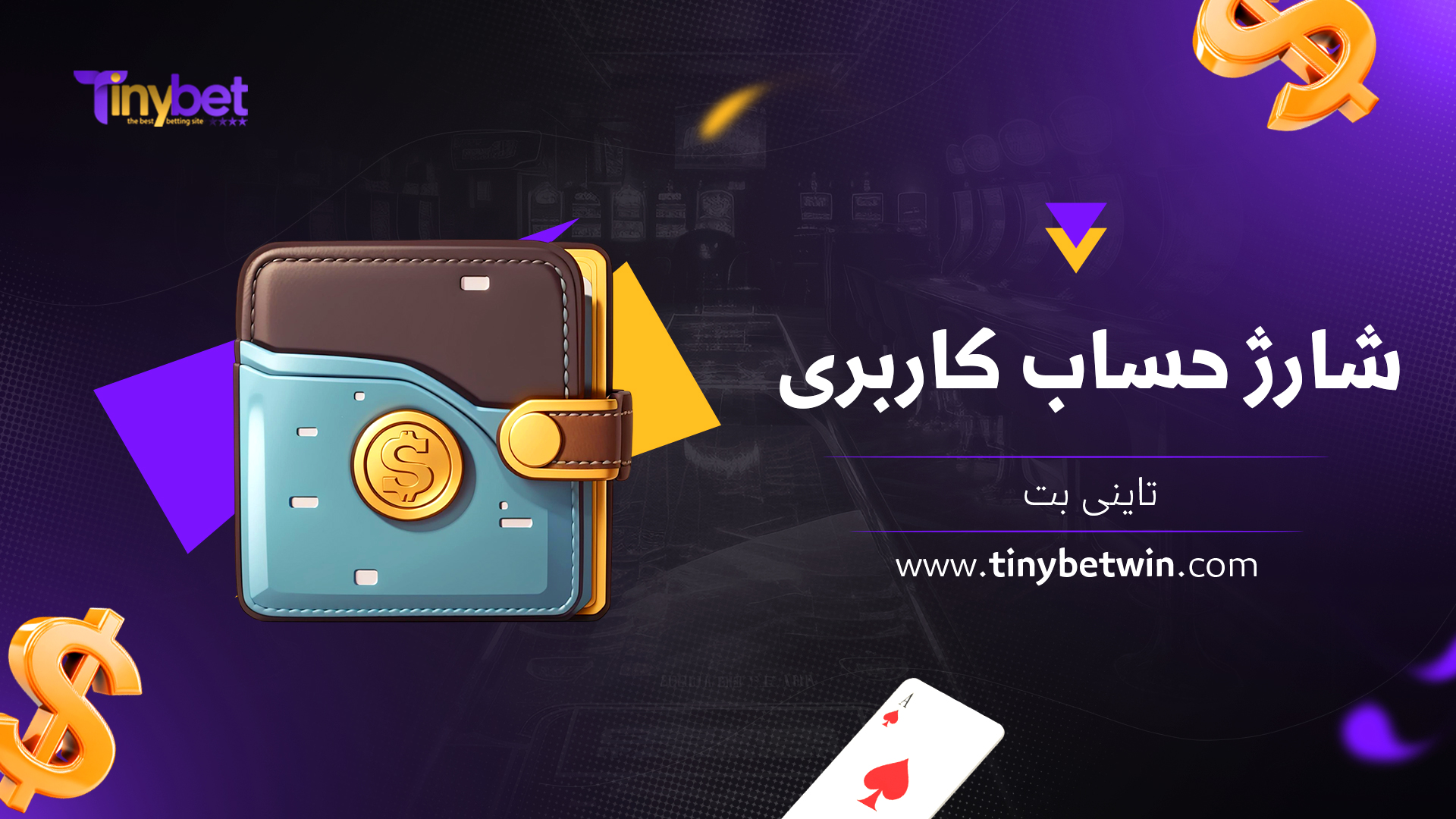 شارژ حساب کاربری تاینی بت