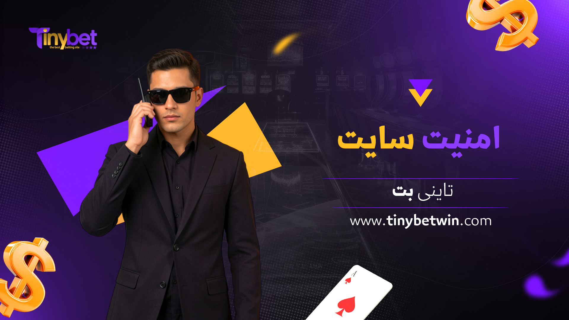 امنیت-سایت-تاینی-بت