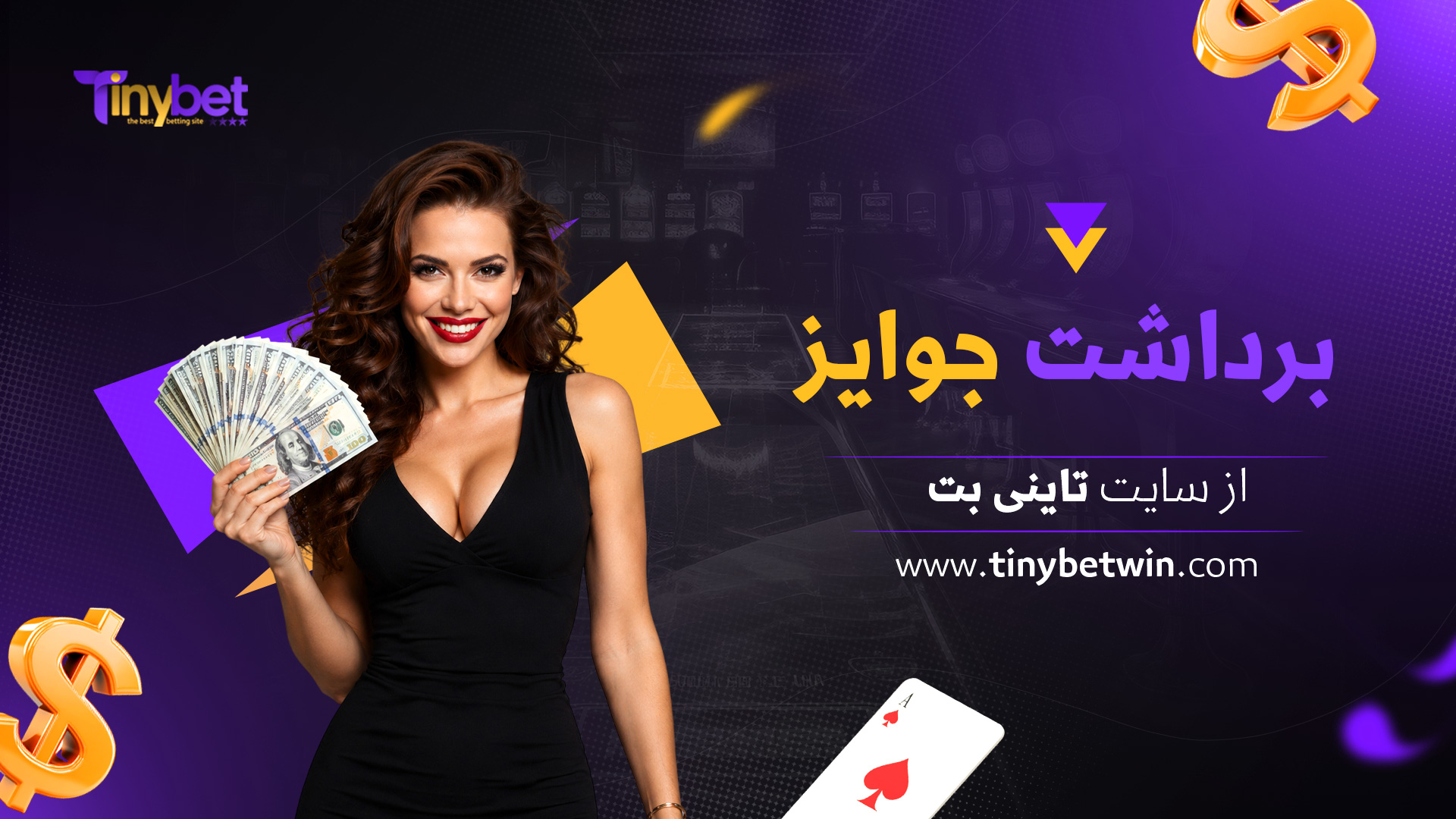 برداشت-جوایز-از-سایت-تاینی-بت