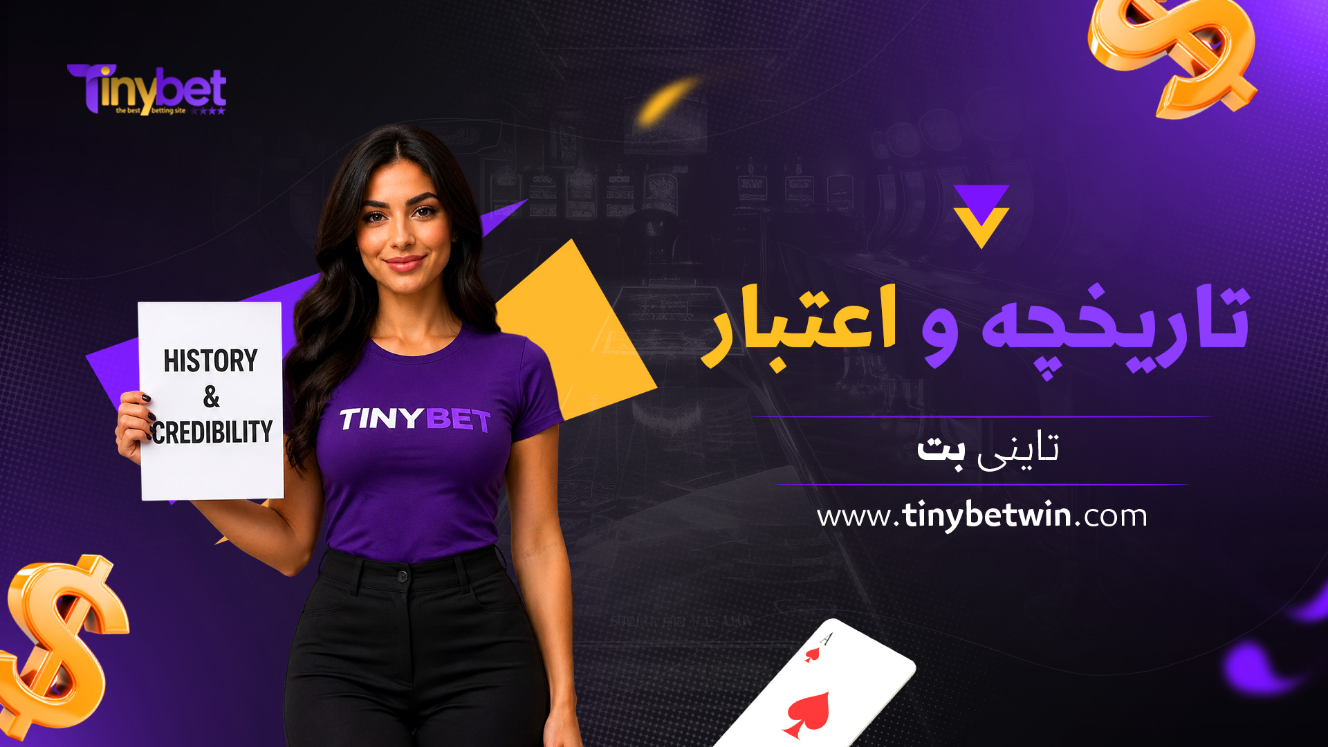 تاریخچه-و-اعتبار-تاینی-بت