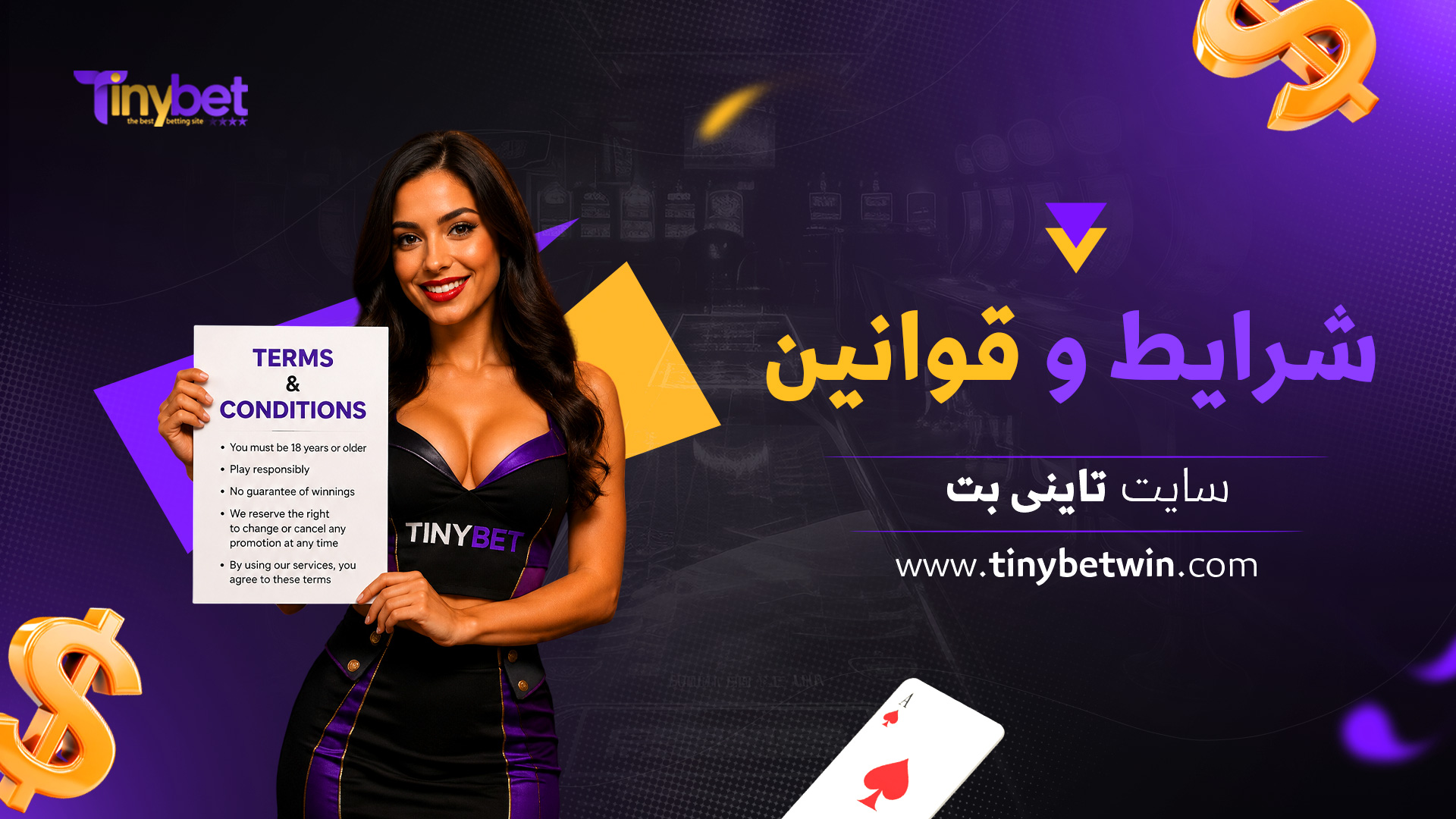 شرایط-و-قوانین-سایت-تاینی-بت